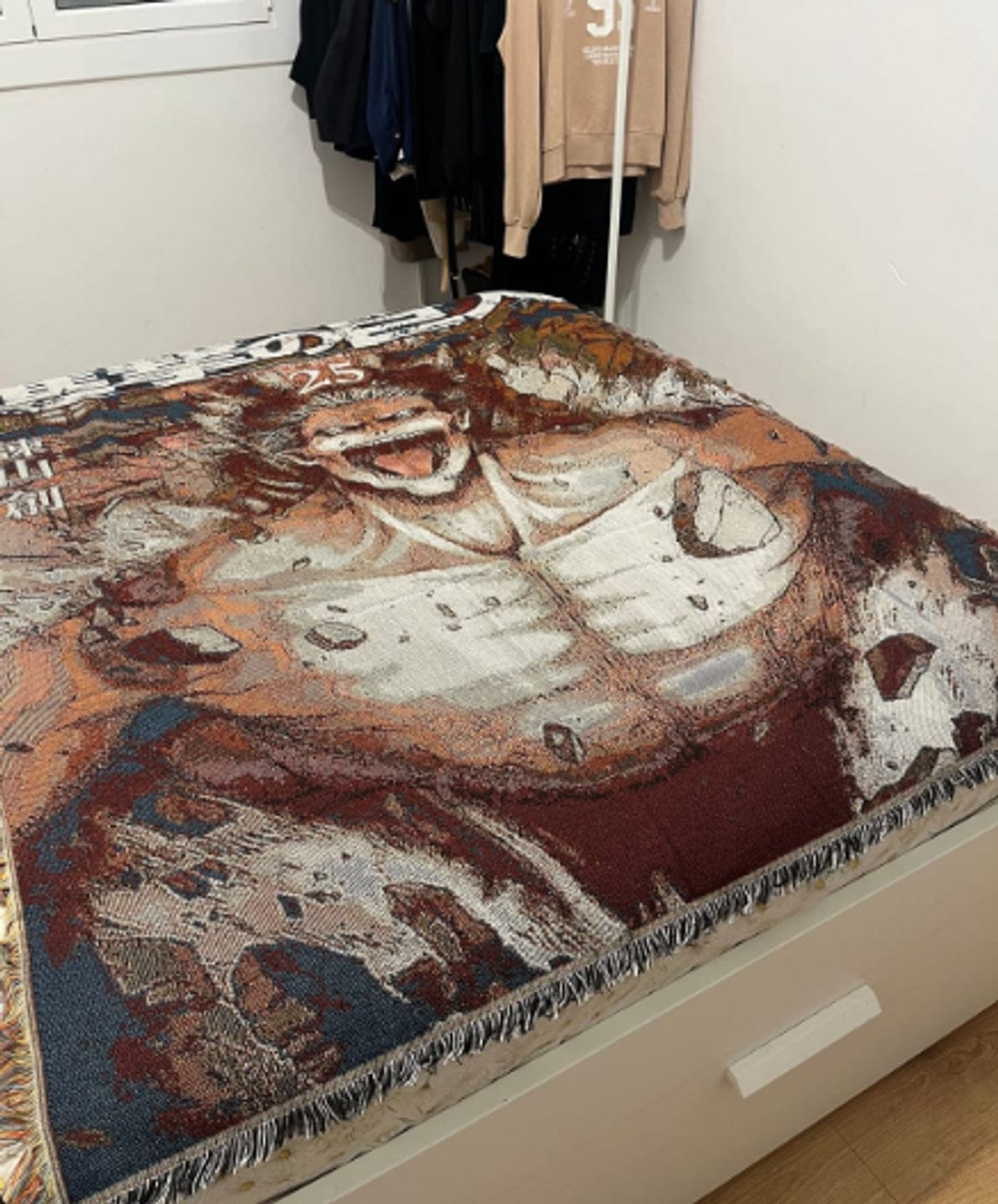 Customer photo review of AOT Blanket