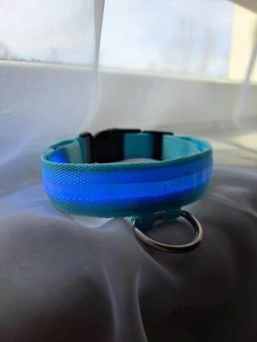 Customer photo review of Double-Light Collar to See Your Dog at Night