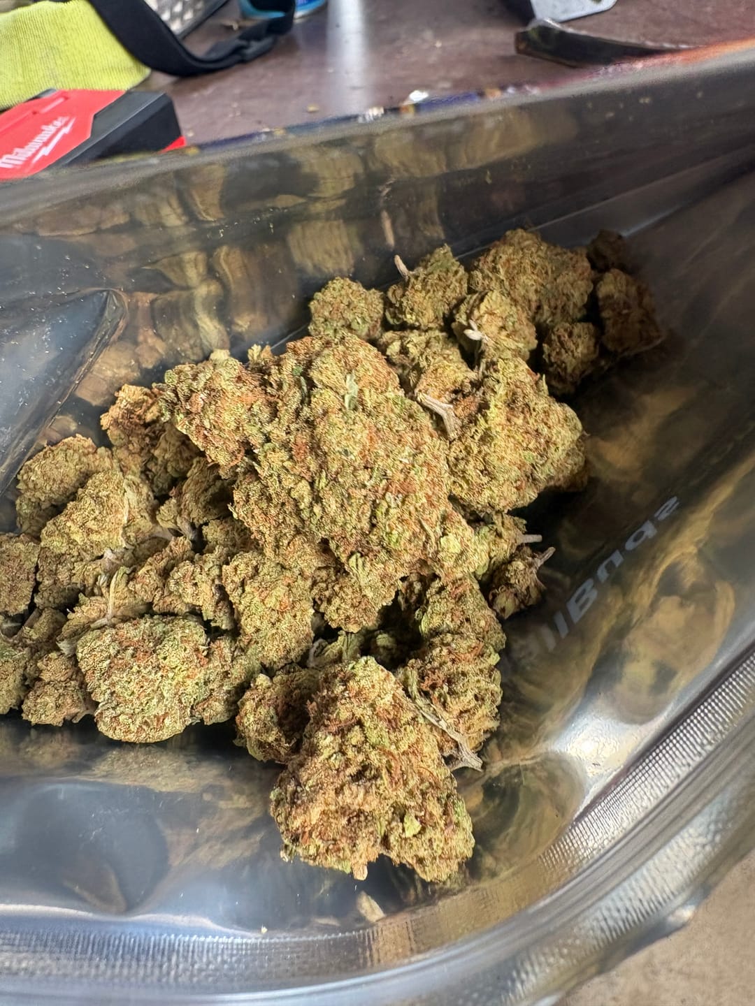 Customer photo review of Snake Venom THCA Flower