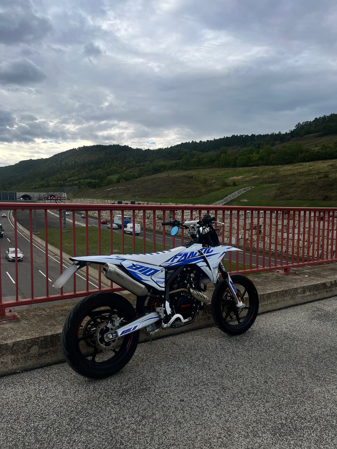Customer photo review of bold. Full Custom Seat Cover