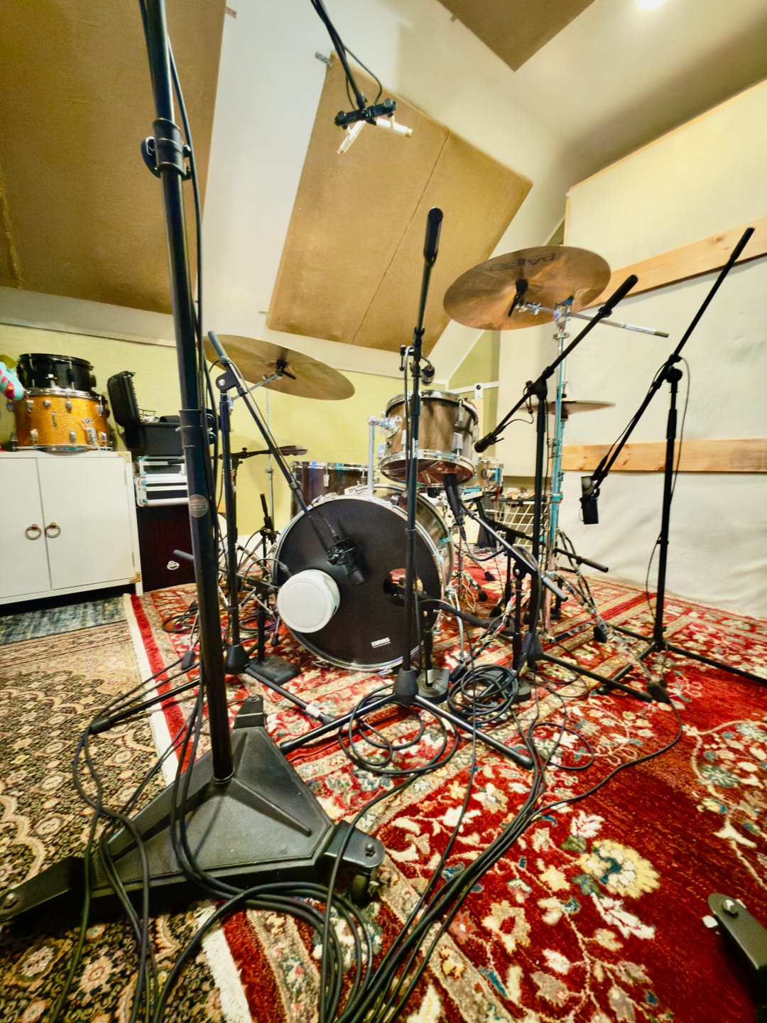 Customer photo review of KD Microphone