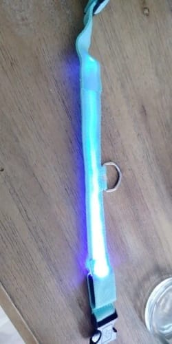 Customer photo review of Double-Light Collar to See Your Dog at Night