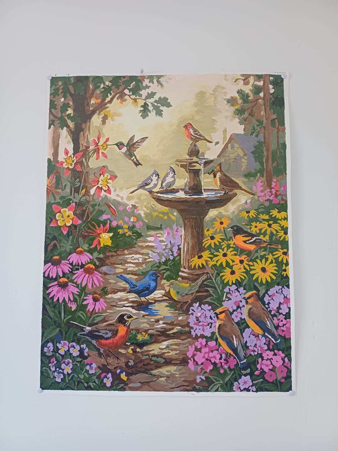 Customer photo review of Symphonie de la Fontaine du Jardin