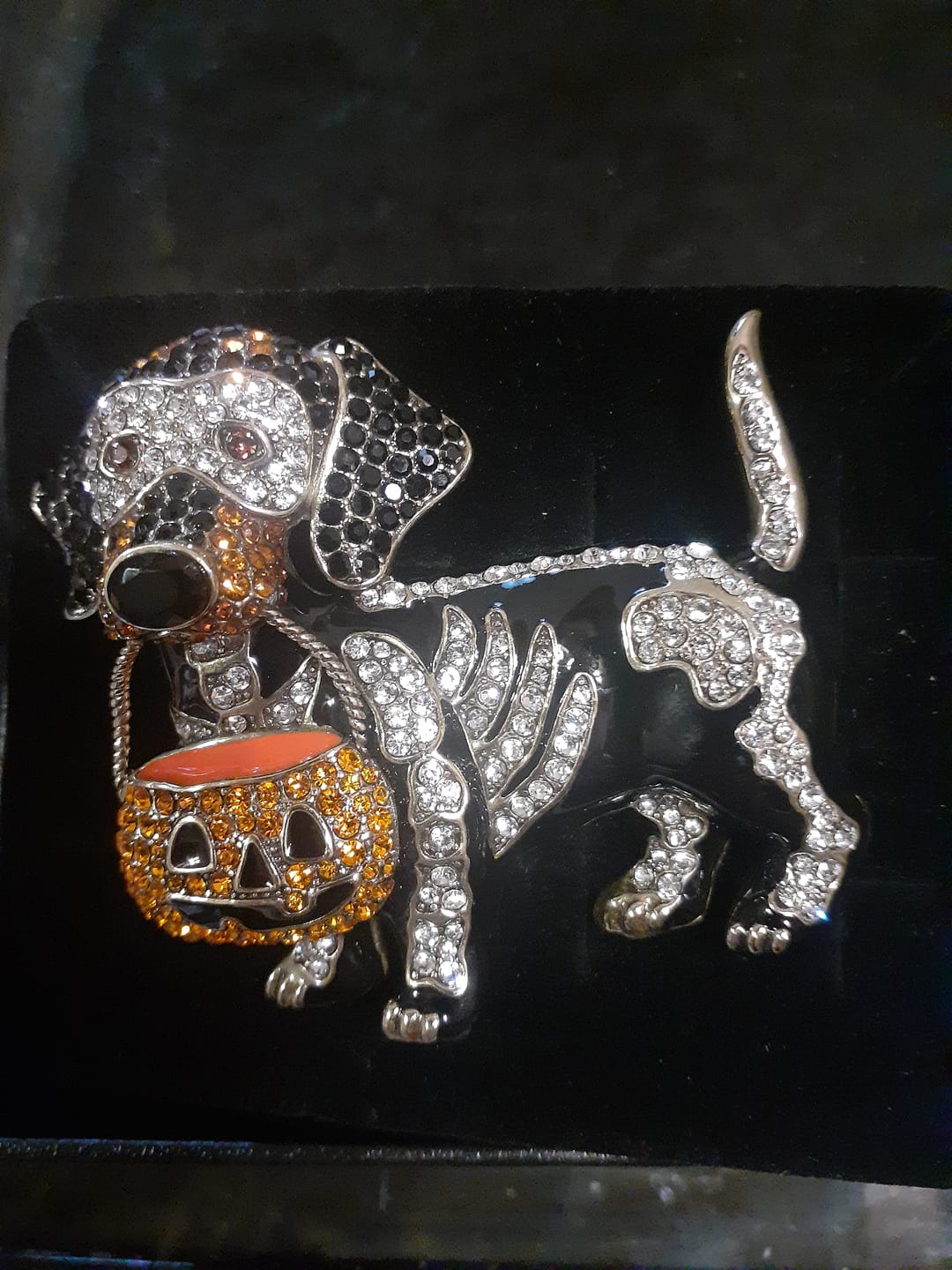Customer photo review of HEIDI DAUS® “In Disguise” Halloween Dog Brooch
