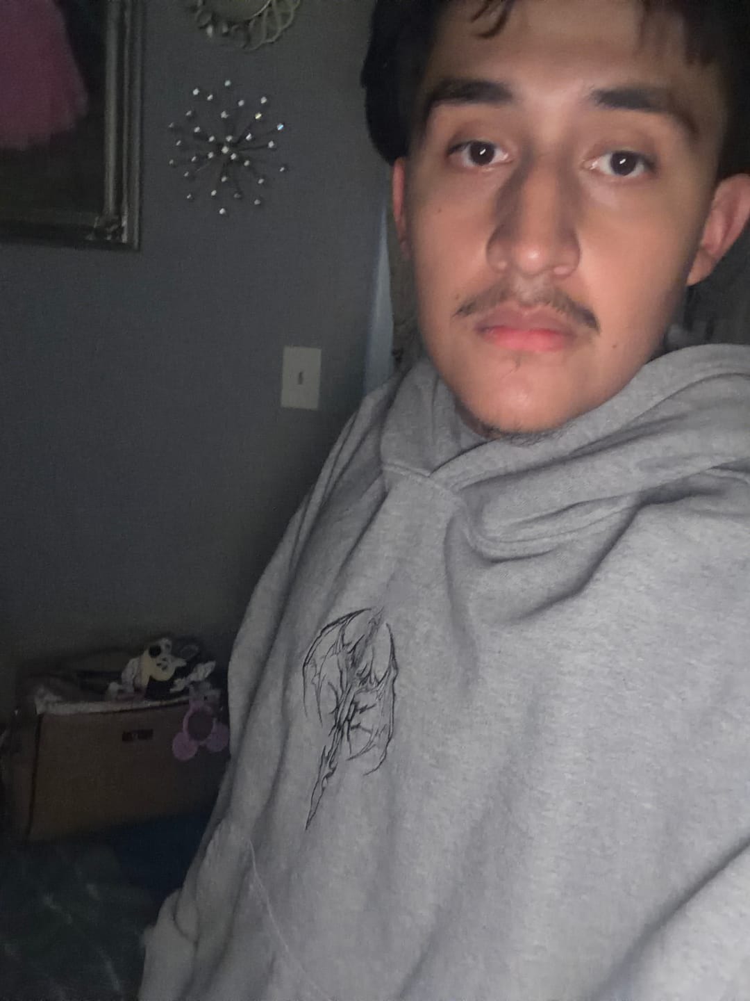 Customer photo review of 5234 - Sigil Crest Hoodies