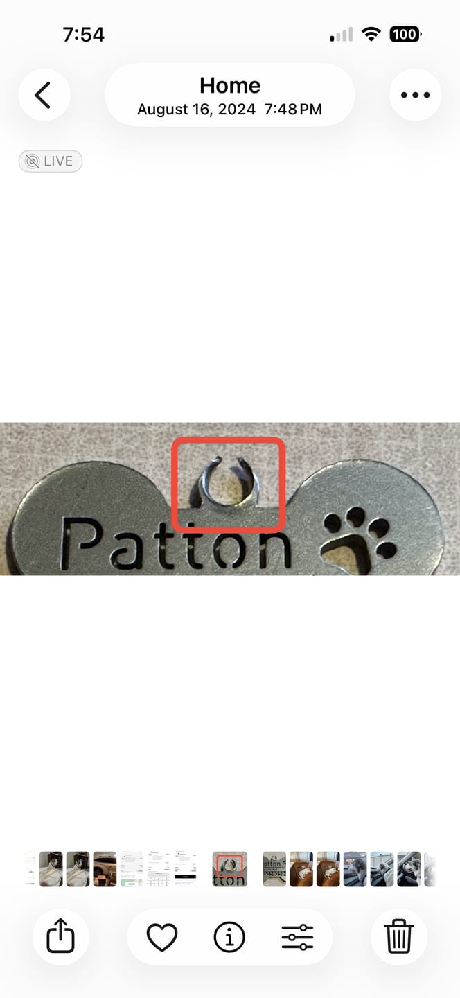 Customer photo review of Bone Dog Tag