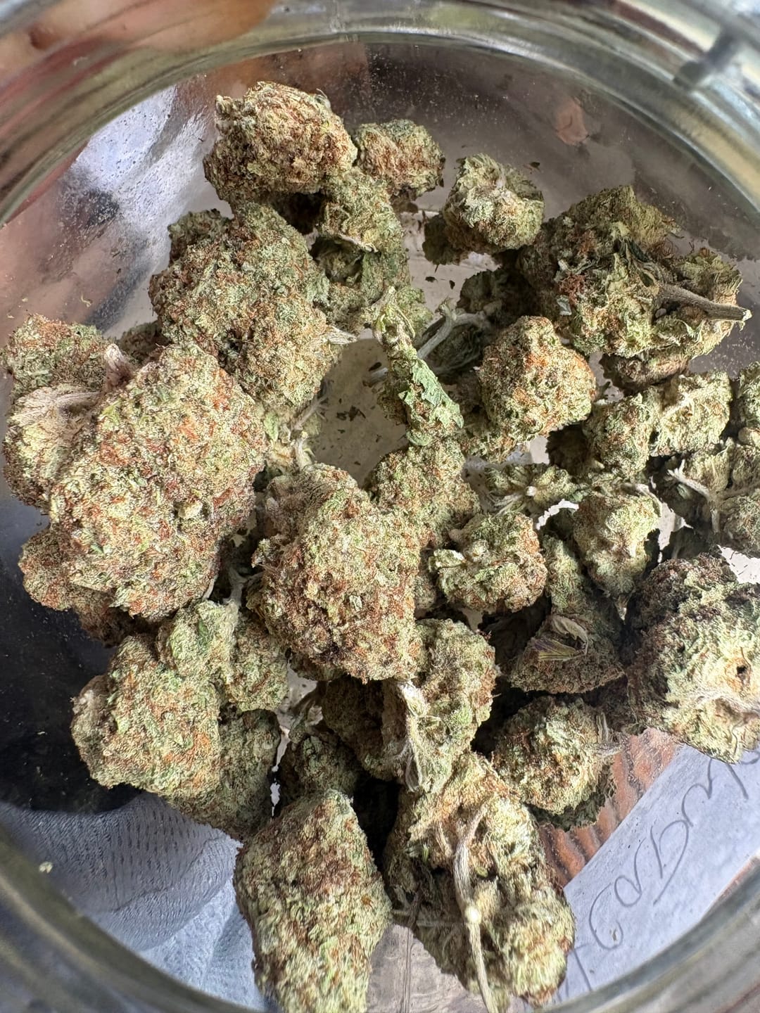 Customer photo review of Acapulco Punch THCA Flower
