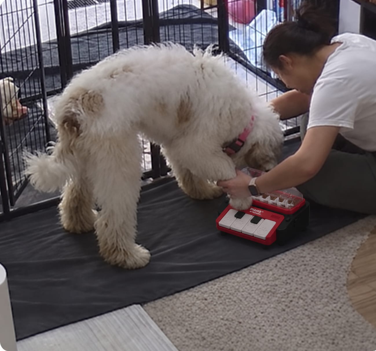 Customer photo review of Leckerli-Klavier, das Hund & Katze beschäftigt