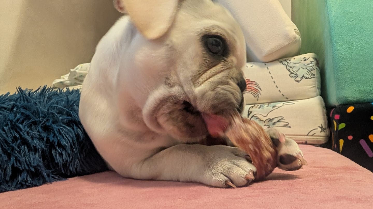 Customer photo review of Small Bully Stick Ring