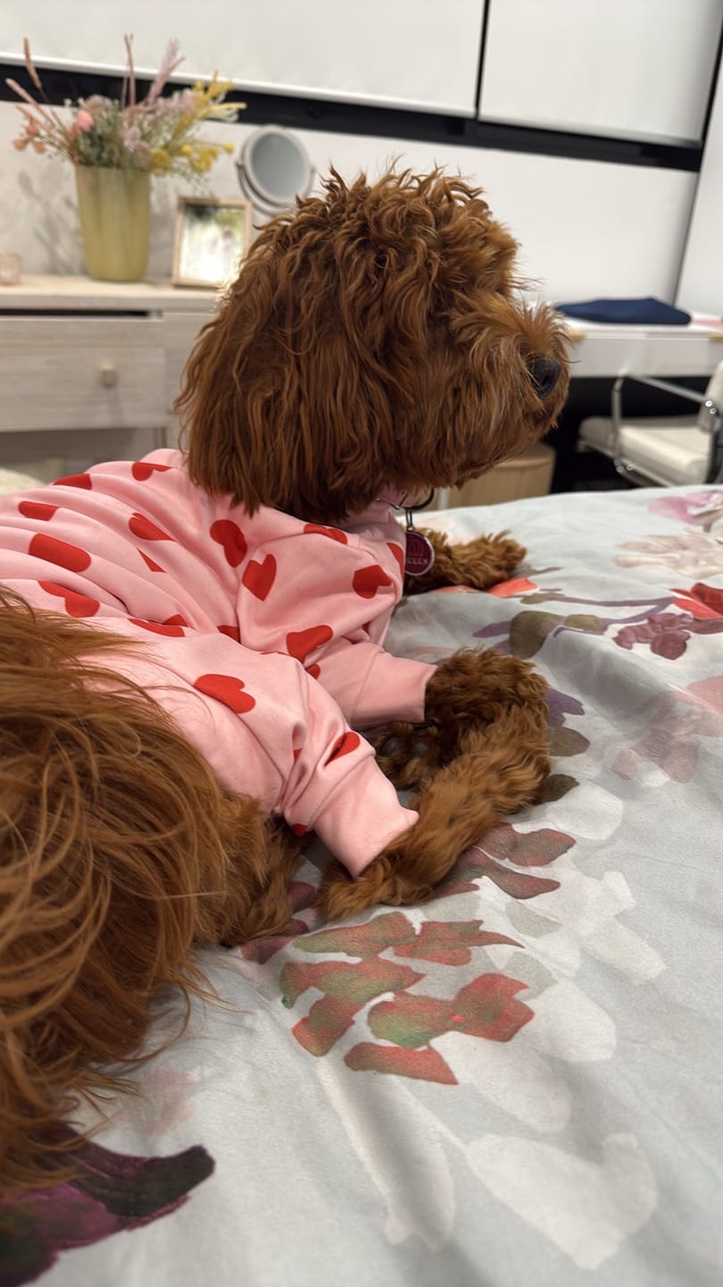Customer photo review of Dog Pajama - Pink Hearts