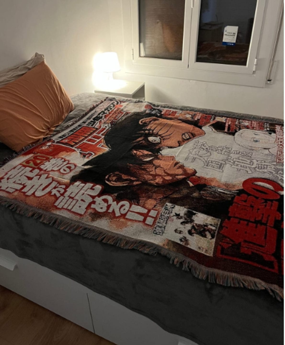 Customer photo review of AOT Blanket