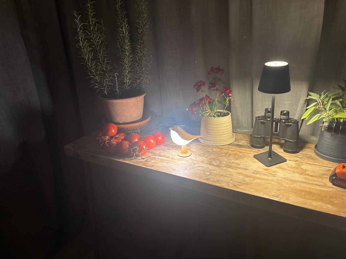 Customer photo review of Glow Bird
