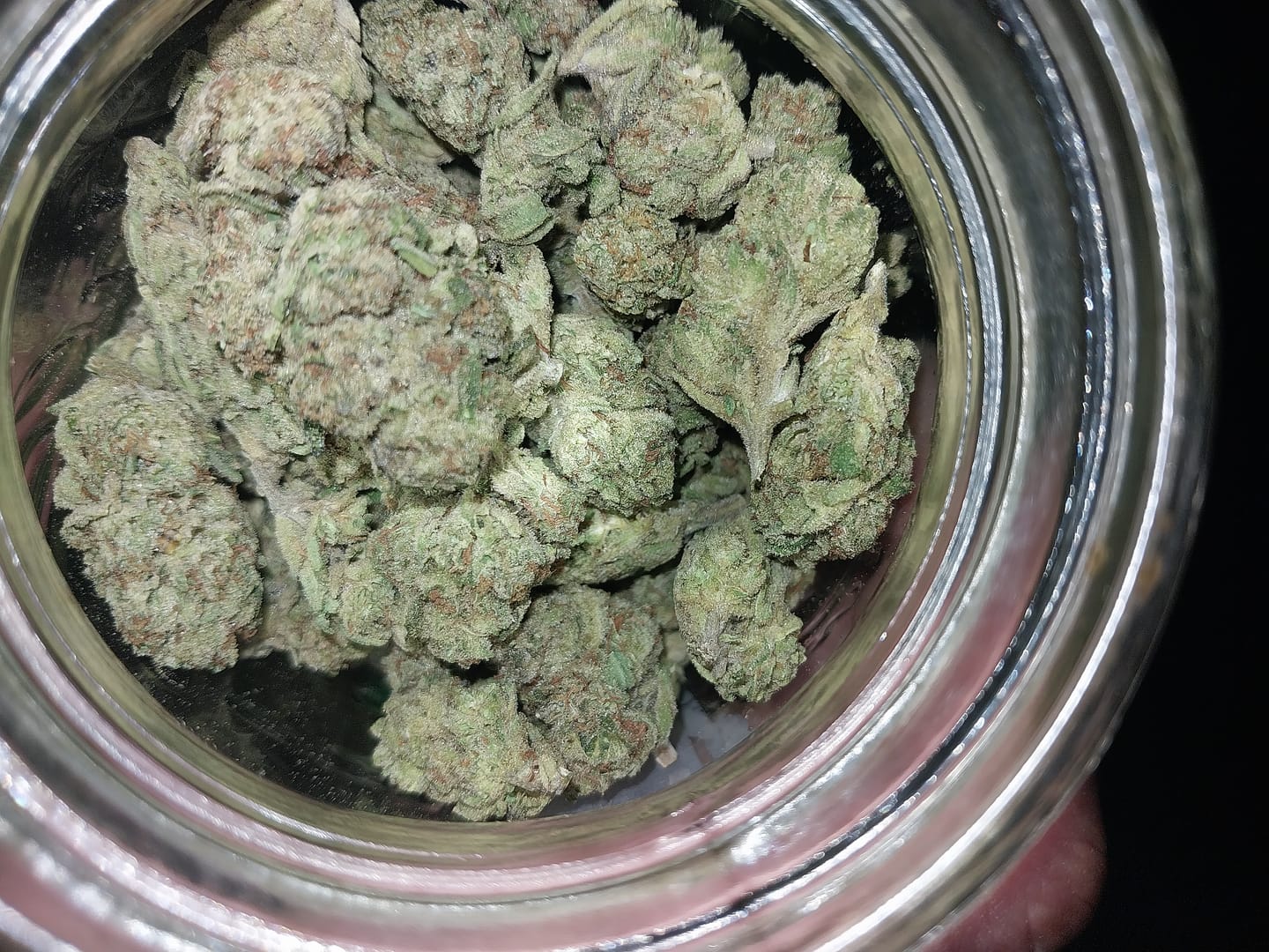 Customer photo review of Cheap THCA Flower Ounce