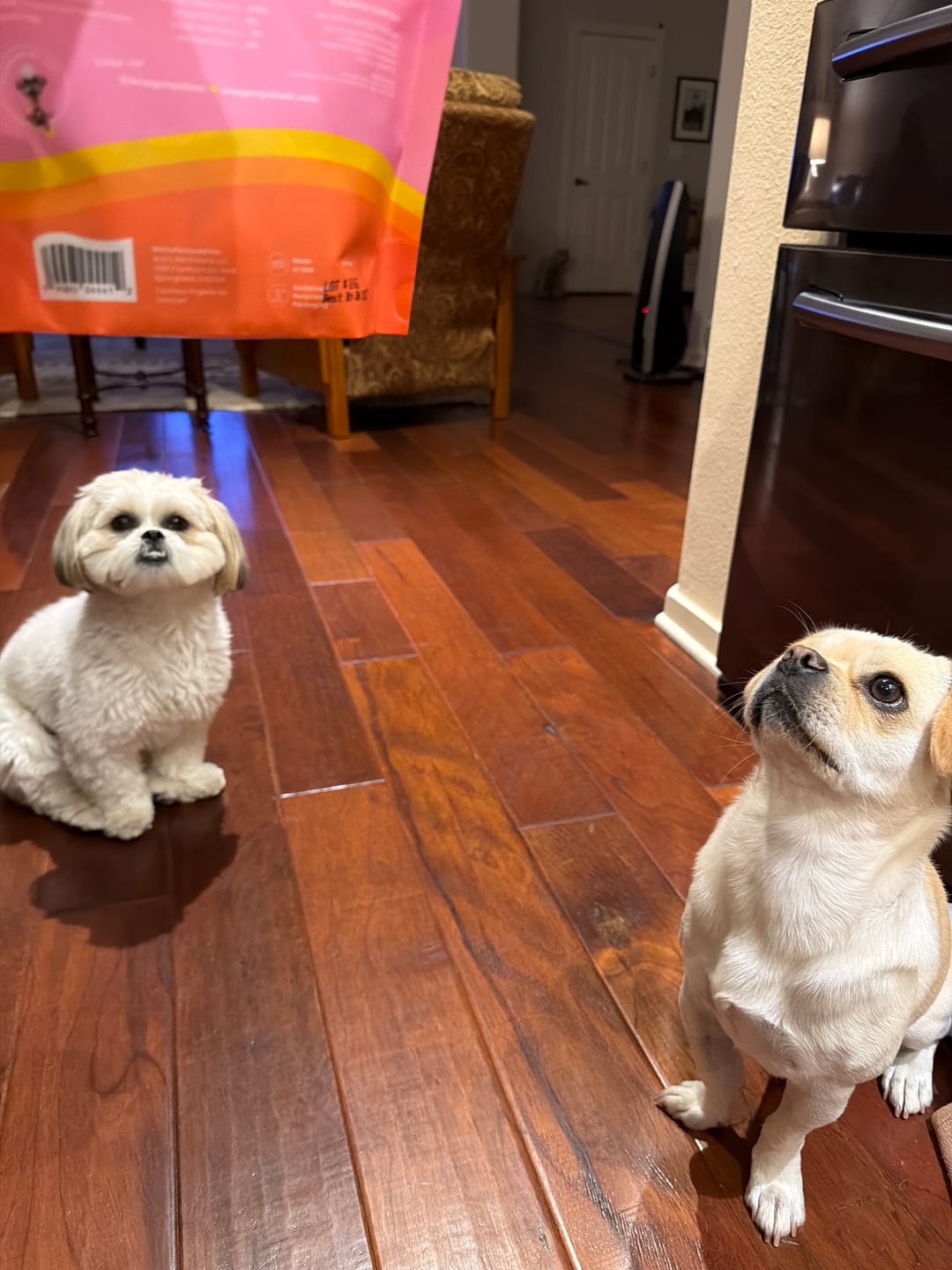 Customer photo review of Organic Baked Dog Treats - Peanutty Paws