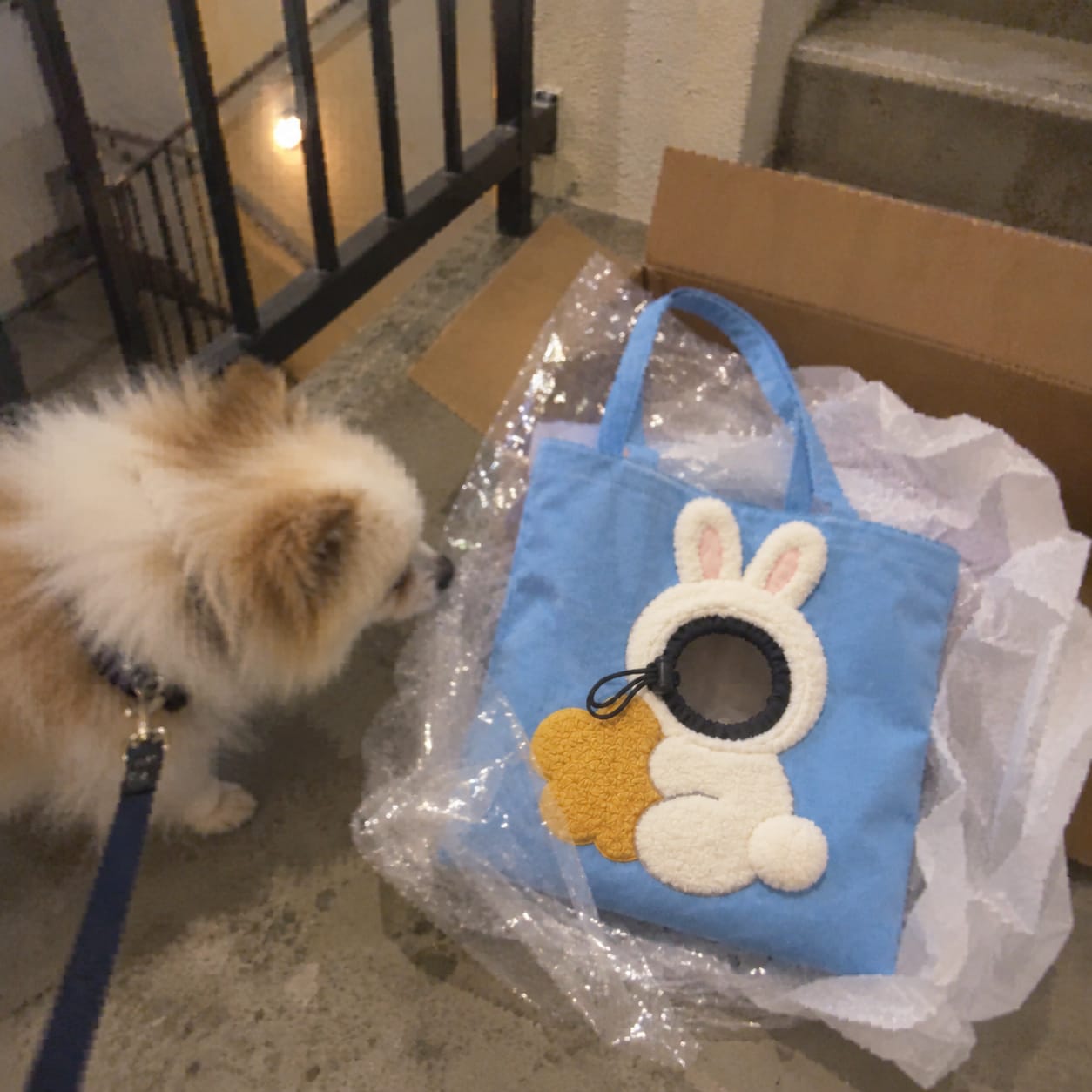 Customer photo review of MILO | Go™