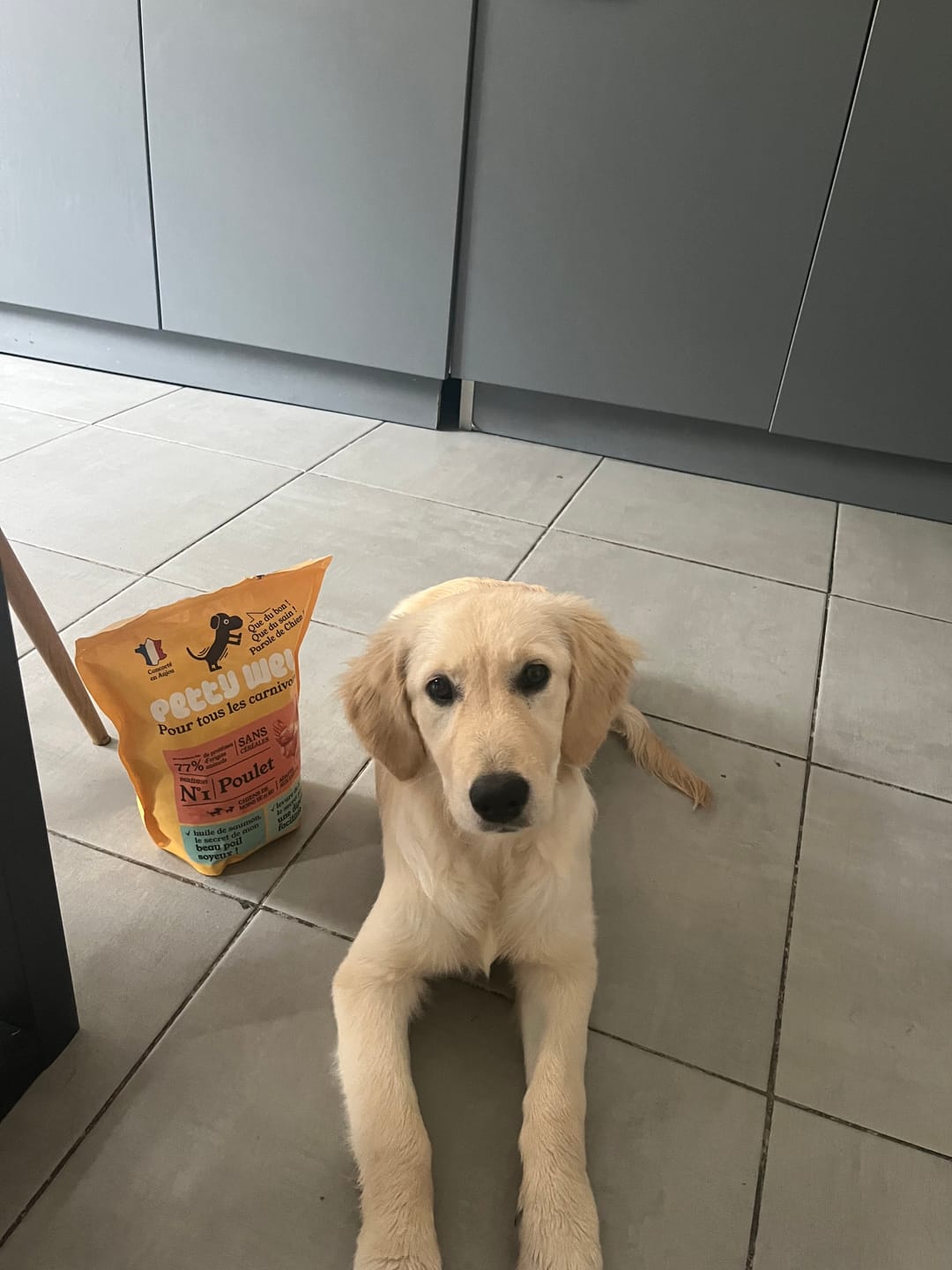 Customer photo review of Notre recommandation : Croquettes Chien Poulet Sans Céréales Ajoutées, Légumes Toutes Tailles