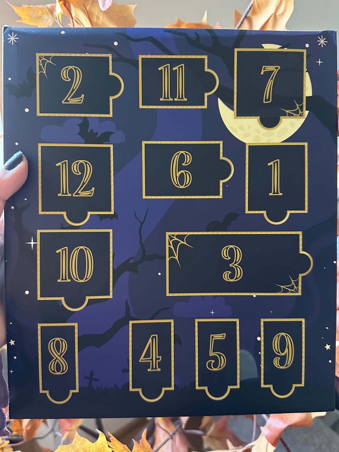 Customer photo review of Shelf of Shadows Halloween Adventskalender, 12-teilig