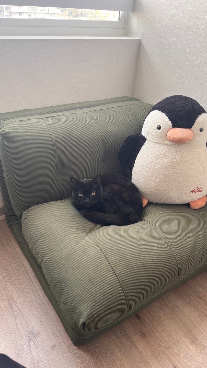 Customer photo review of Sofá Cama Plegable De Tela Minimalista Verde musgo