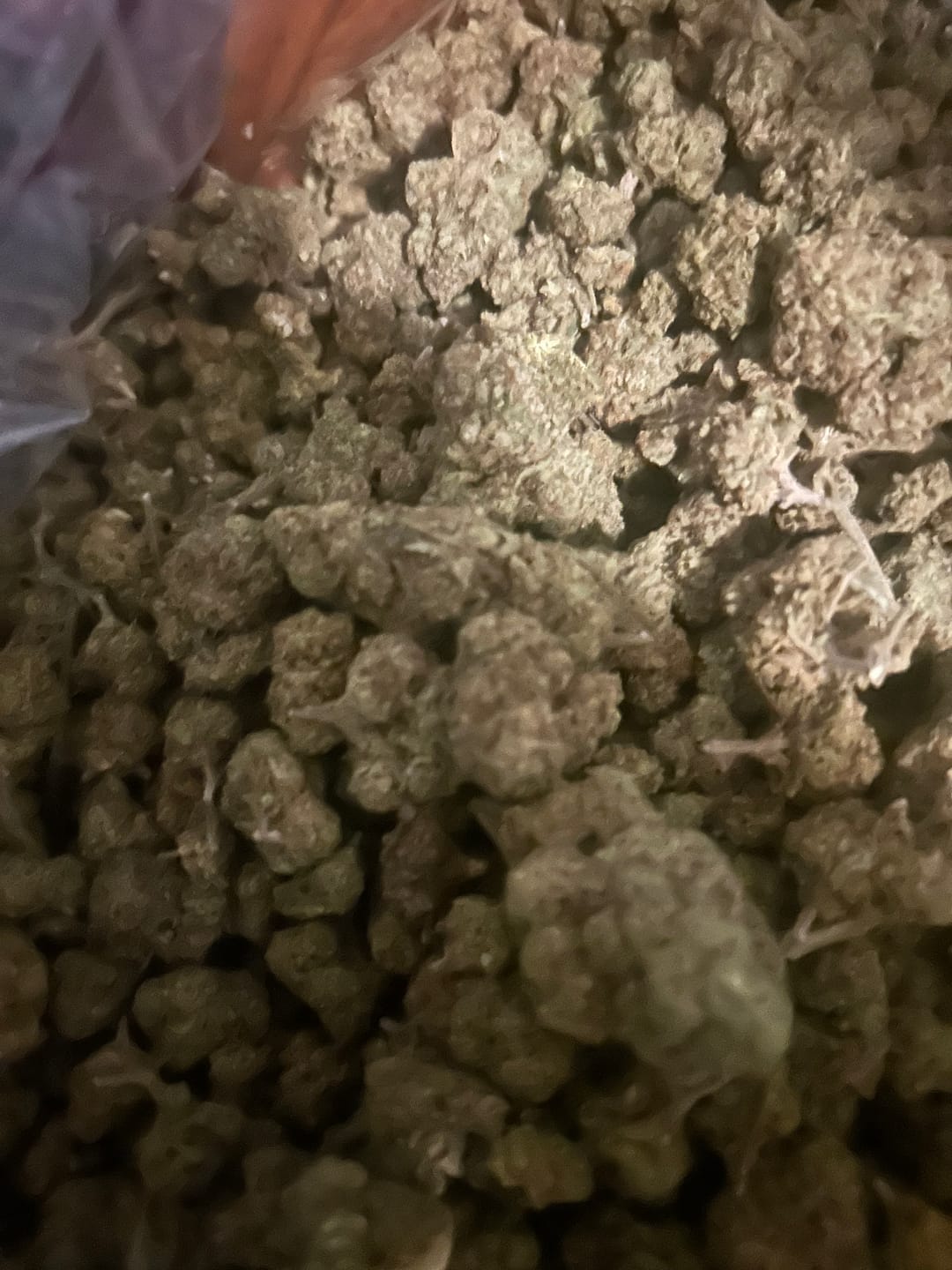 Customer photo review of Strawberry Gelato Minis - Bulk Minis - Hybrid