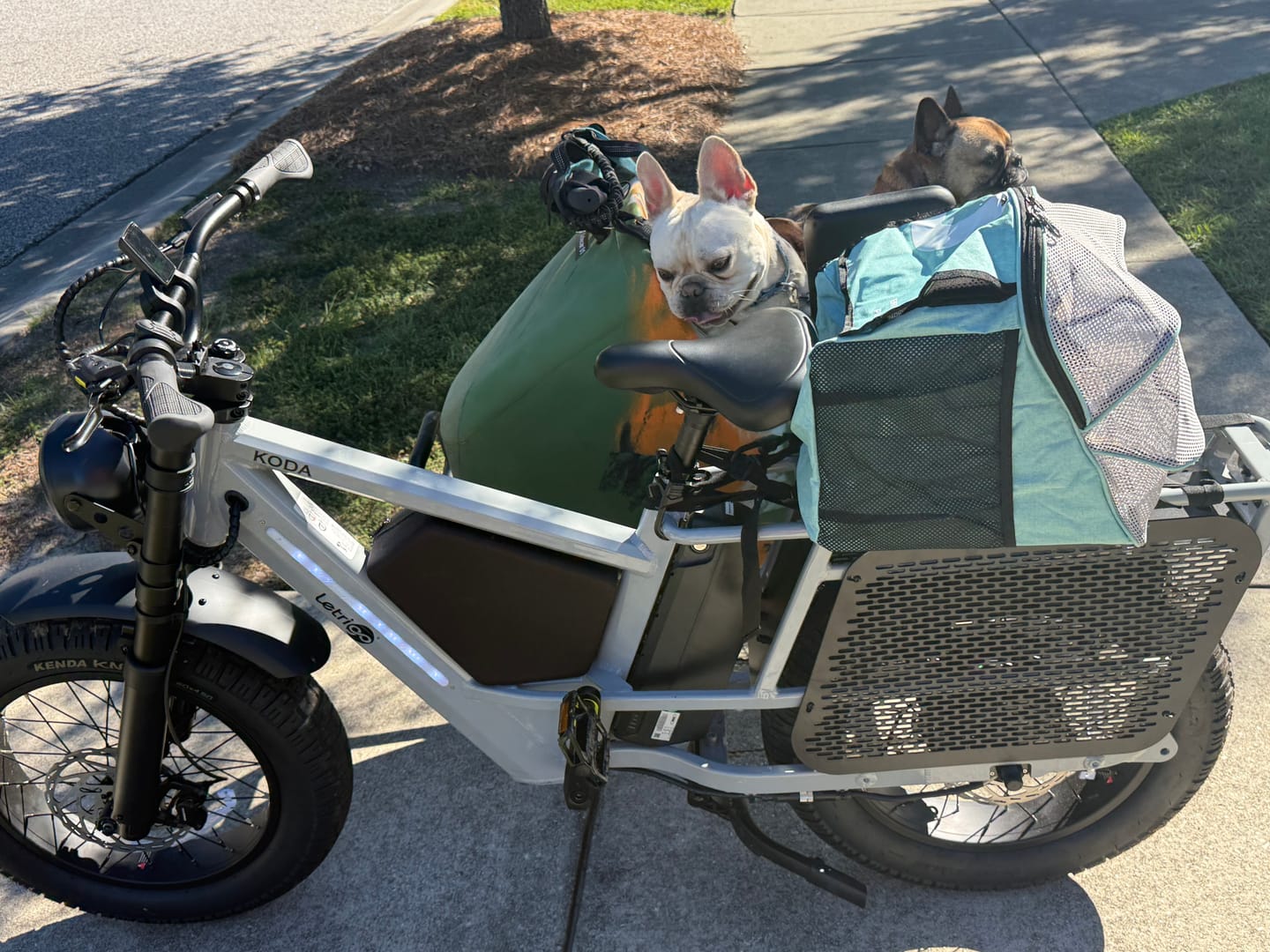 Customer photo review of Letrigo Sidecar01