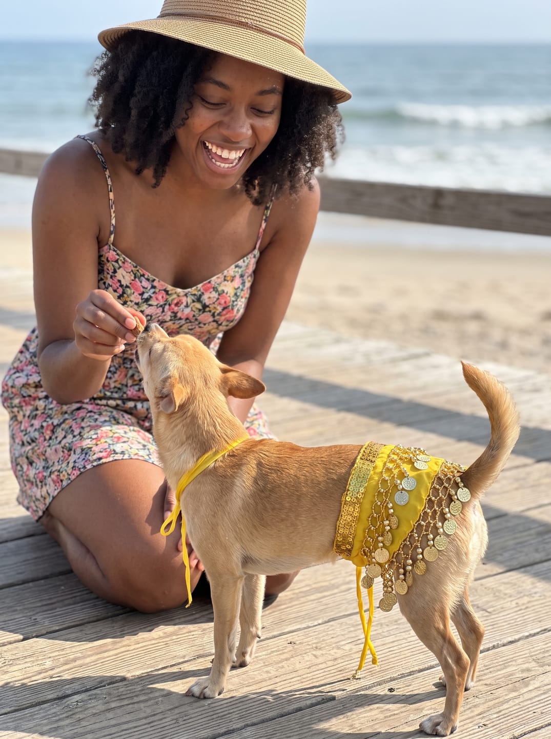 Customer photo review of WigglePup Jingle Scarf – Belly Dance Hip Scarf for Dogs
