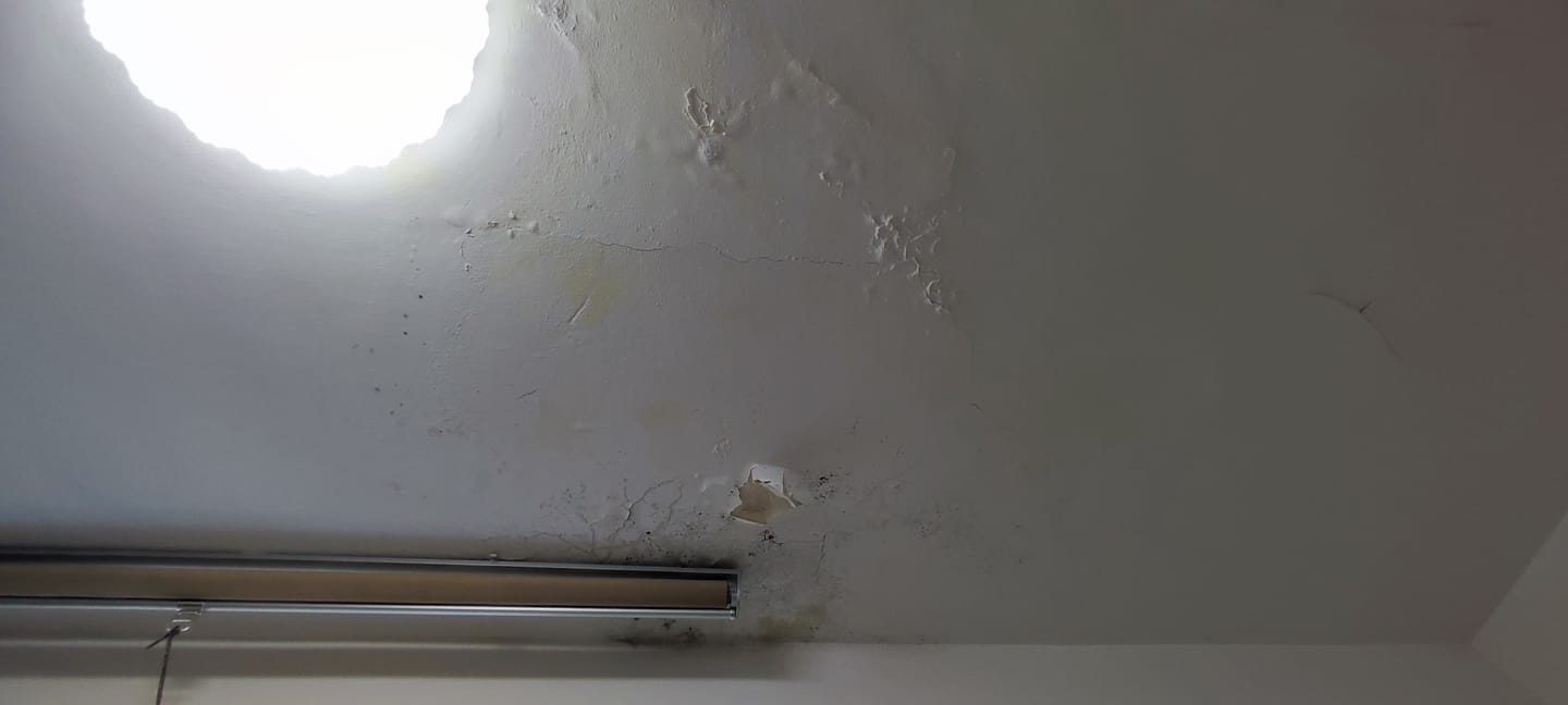 Customer photo review of FIBRAFACE - Pittura Termoisolante fibrorinforzata elastomerica