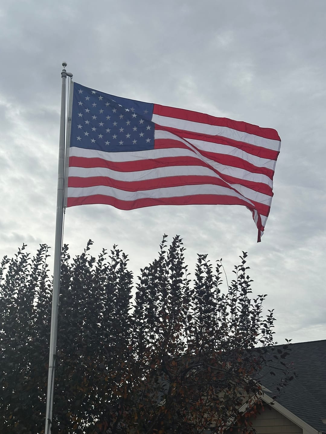 Customer photo review of 6' x 10' American Flag