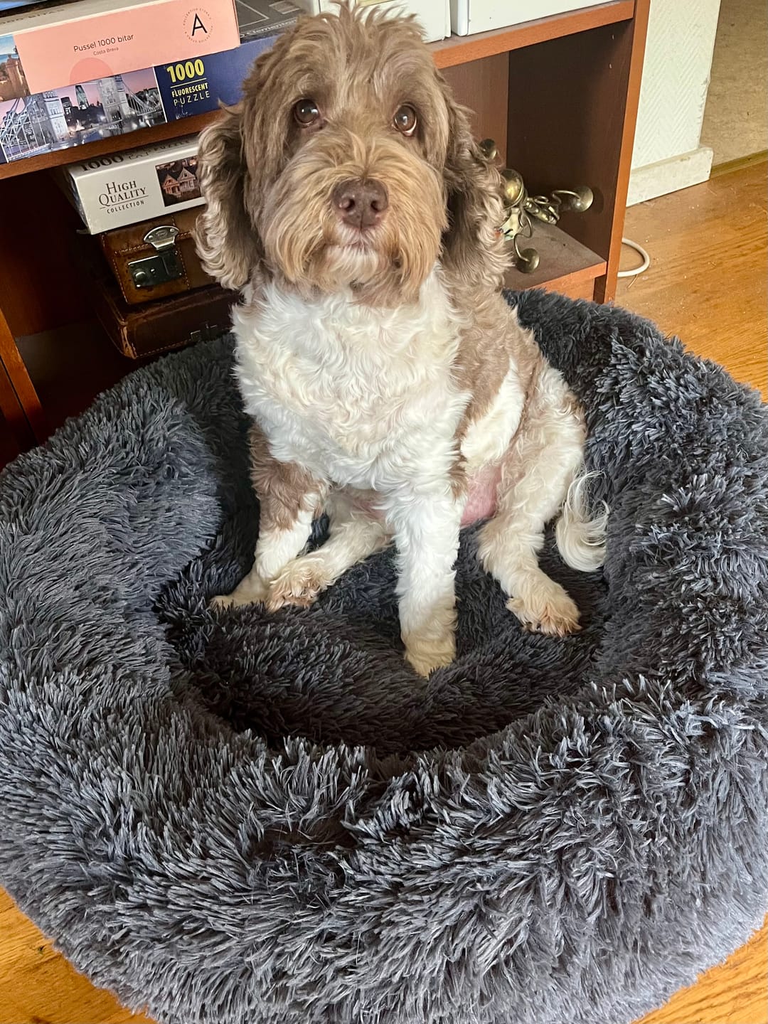 Customer photo review of CalmBed