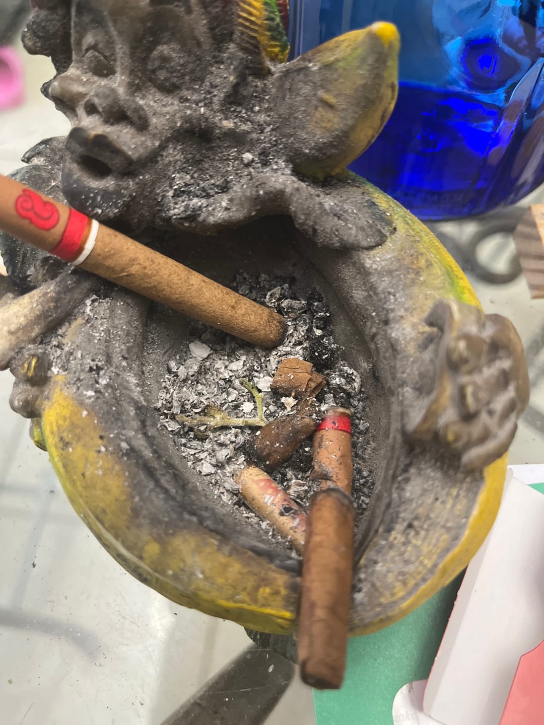 Customer photo review of Halle Berry Minis - Bulk Minis - Hybrid