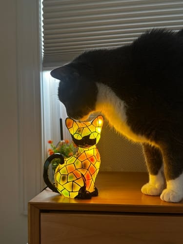 Customer photo review of Luminous cat – handmade lamp that makes hearts shine