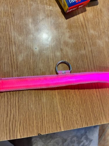 Customer photo review of Double-Light Collar to See Your Dog at Night