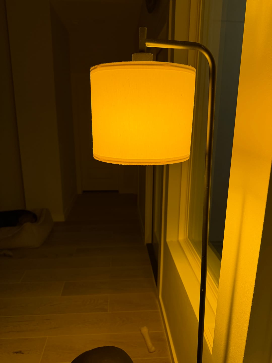 Customer photo review of Circadian Lightbulb™