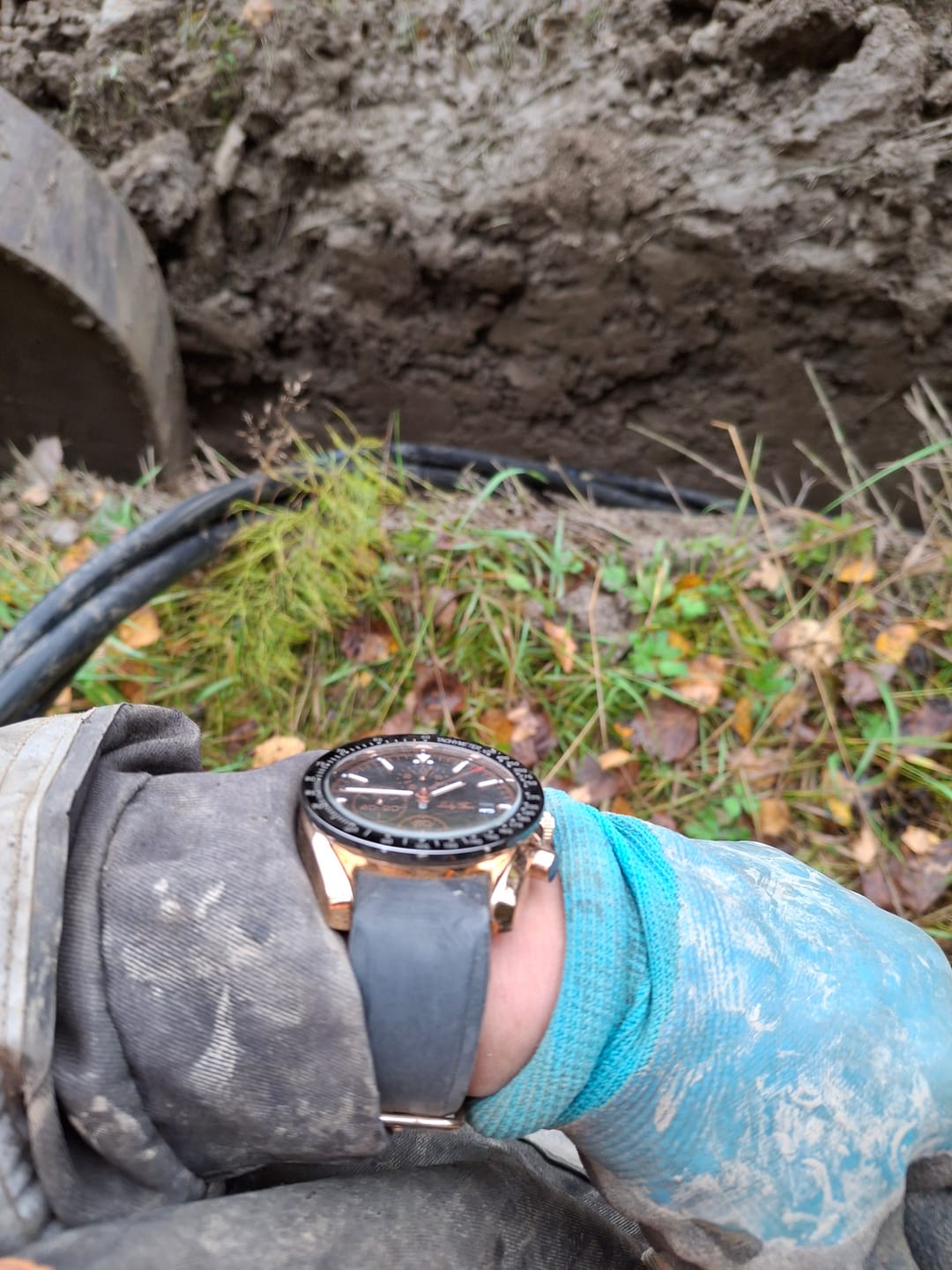Customer photo review of Lucky Fours® Falcon
