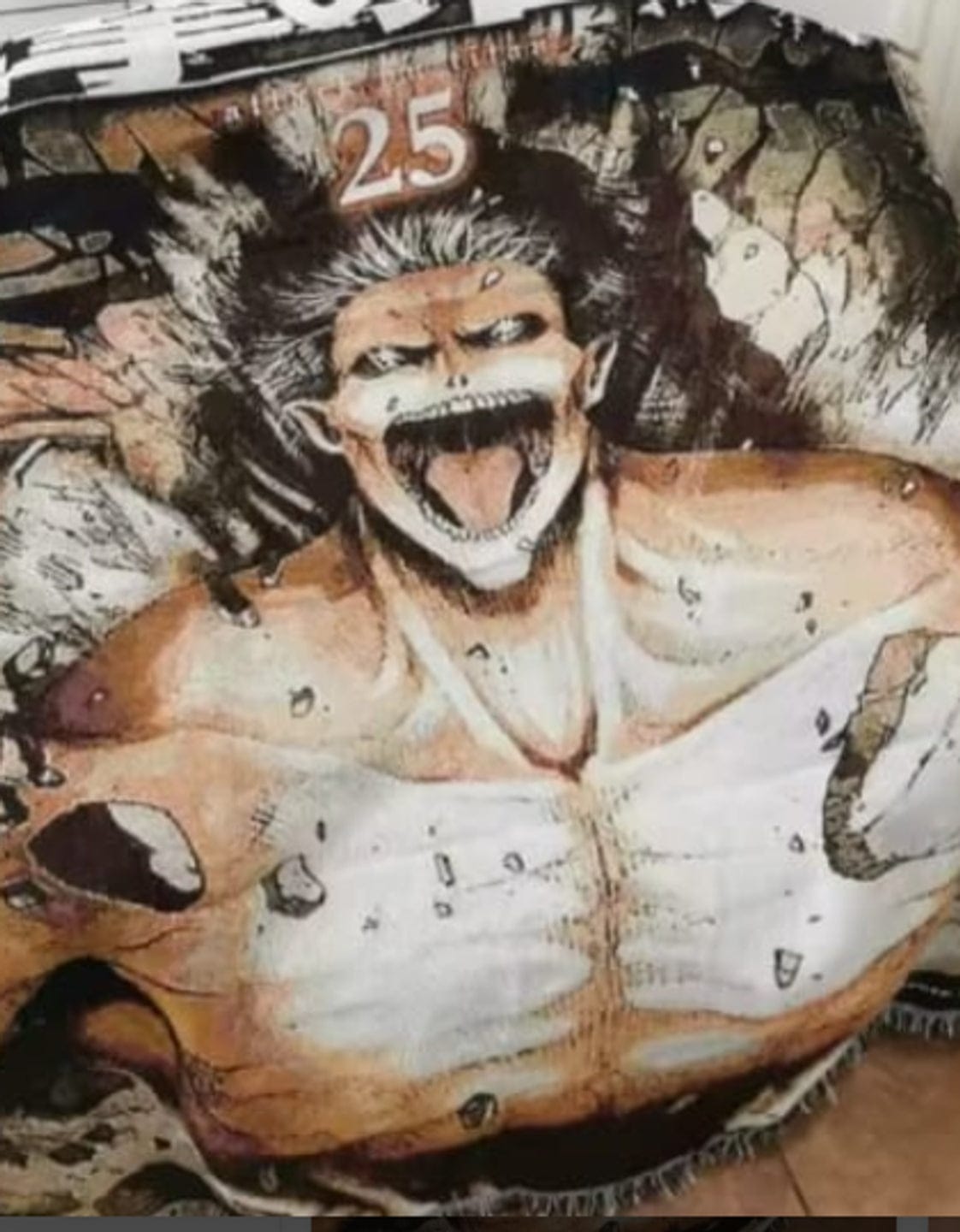Customer photo review of AOT Blanket