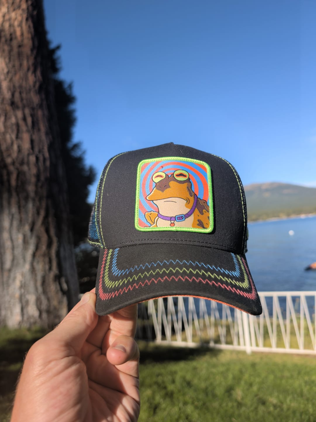 Customer photo review of OVERLORD™ x Futurama - Hypnotoad