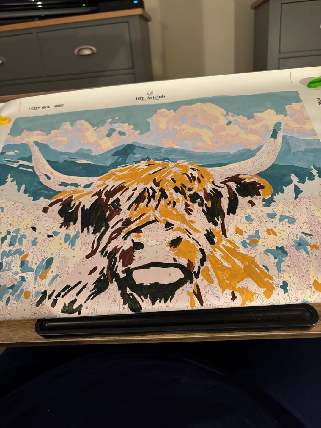 Customer photo review of Highland in Bloom | Paint by Number