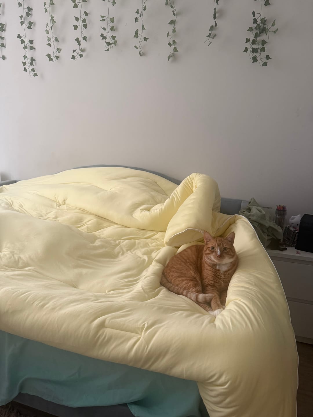 Customer photo review of MarshMellow Comforter