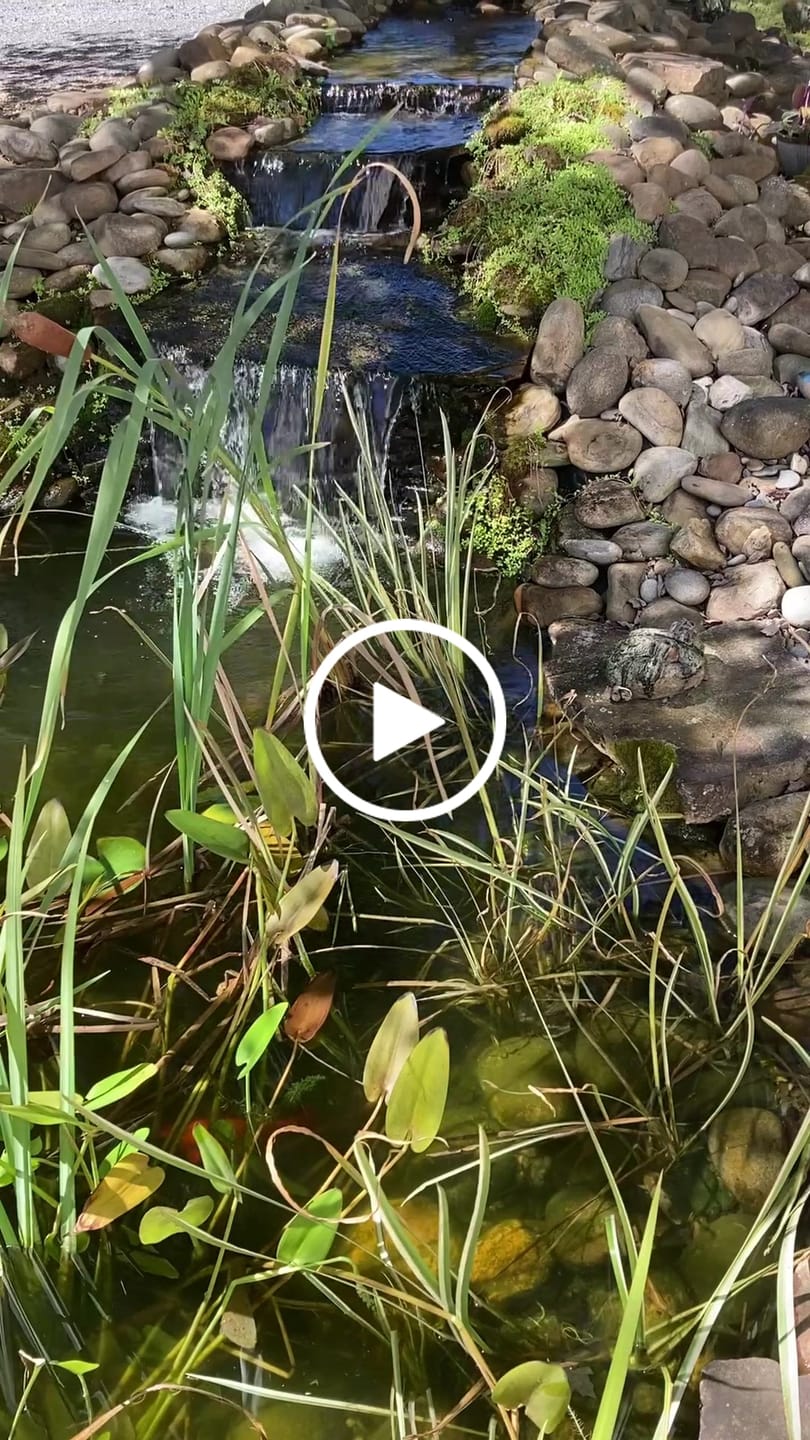 Customer video review of Beckett Water Pump 3550 GPH Submersible Water Pump Auto-Shutoff Pond Pump for Waterfall, Stream, Water Garden 168W 25.7 ft Max Lift