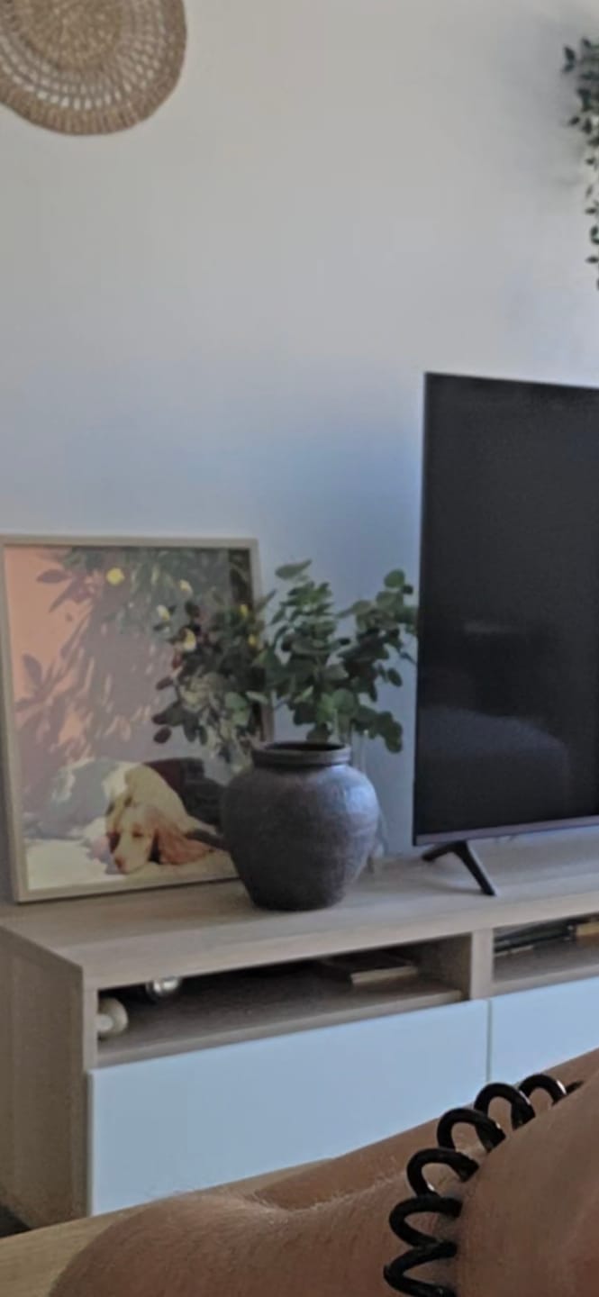 Customer photo review of Siesta | Paint by Number