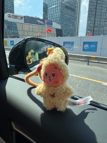 Customer photo review of Labubu V4 – Pin For Love Series Blind Box (A-M Full Set)