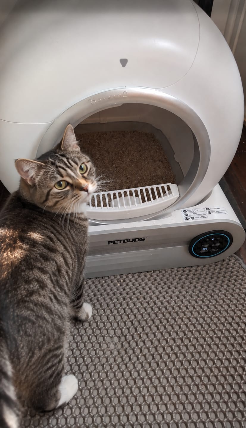 Customer photo review of Petbuds™ Pro 2026 Automatic Self-Cleaning Litter Box