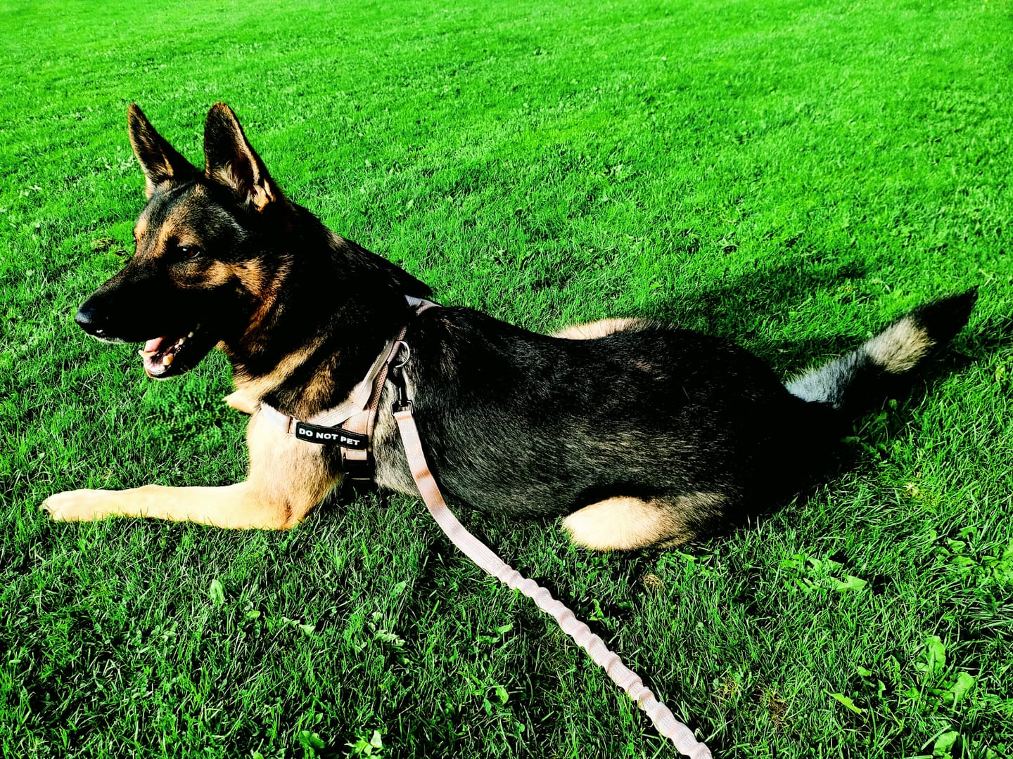 Customer photo review of Custom name patch