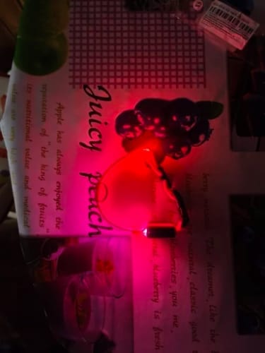 Customer photo review of Double-Light Collar to See Your Dog at Night