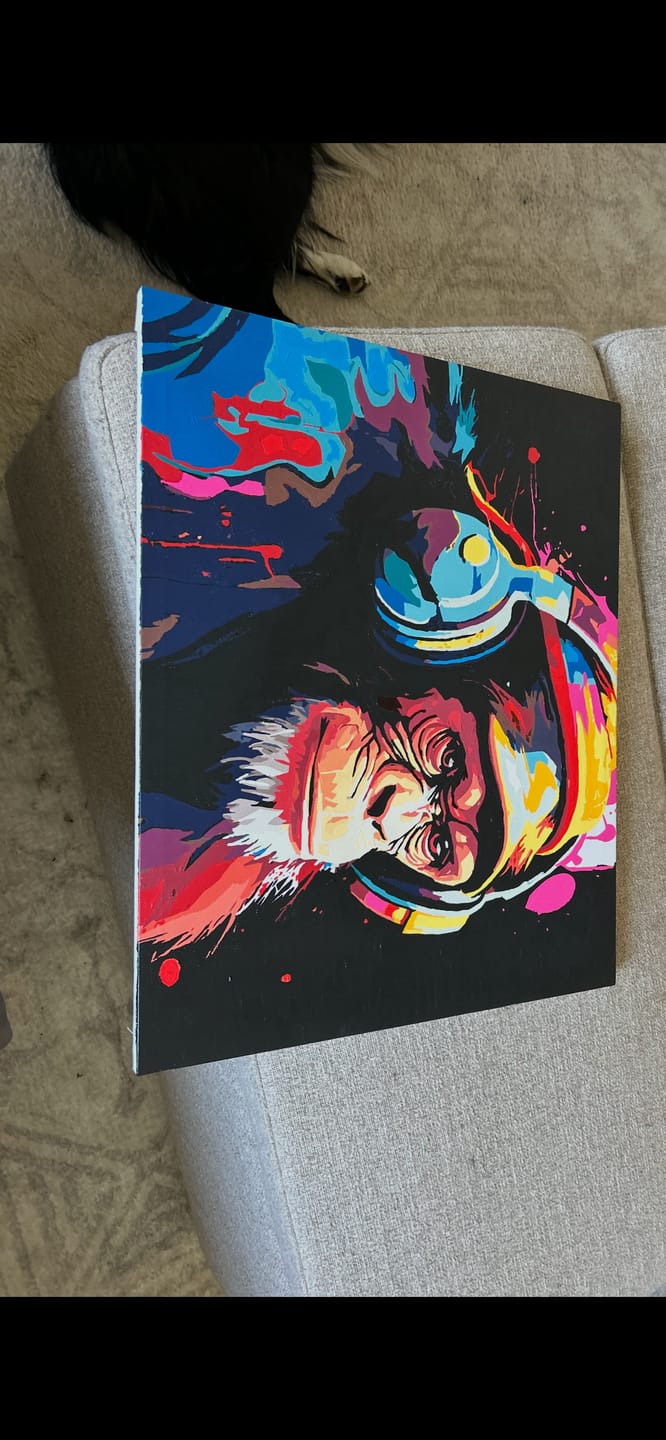 Customer photo review of Hip Hop Chimp