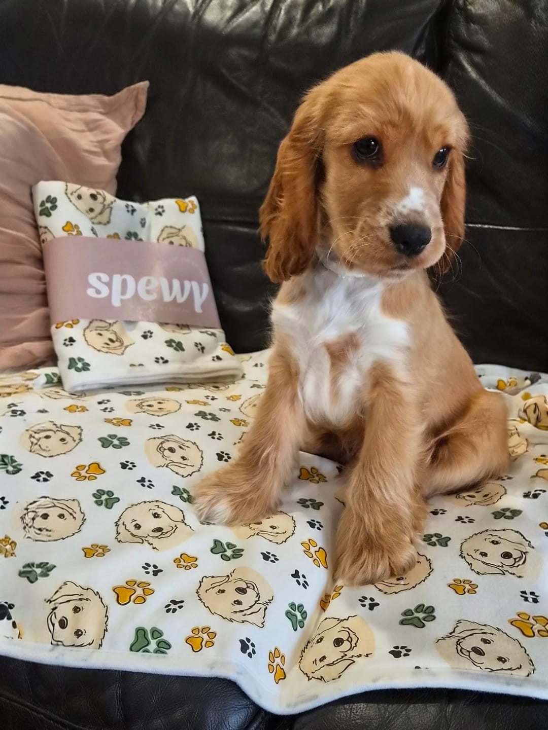 Customer photo review of Spewy™