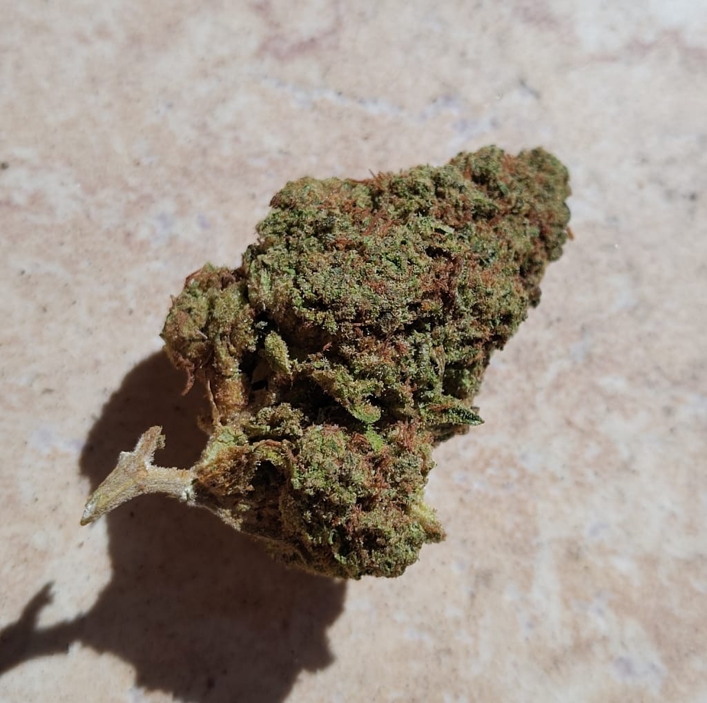 Customer photo review of Snake Venom THCA Flower
