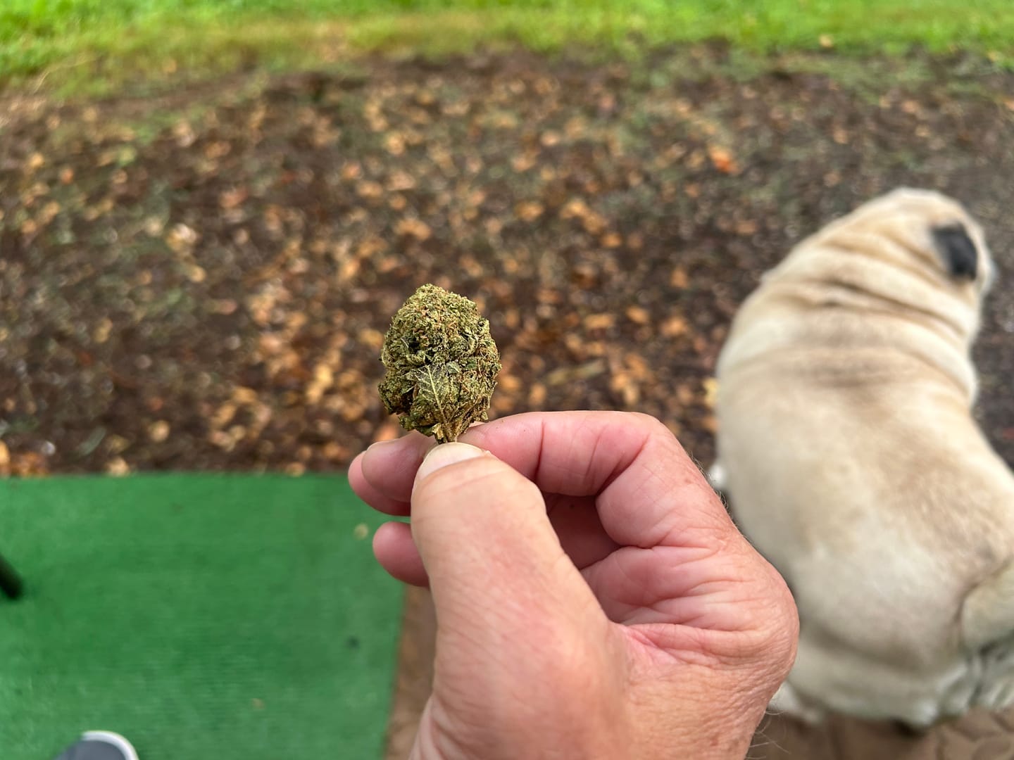 Customer photo review of Moonrocks 28 Grams