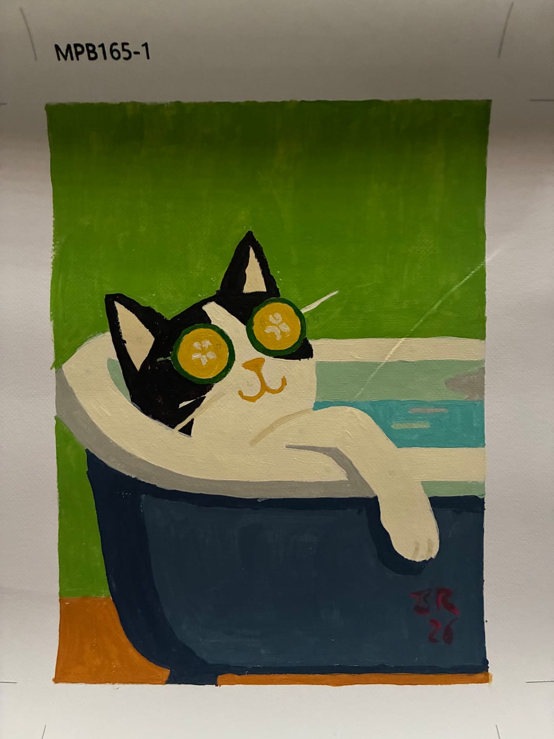 Customer photo review of 6 Mini Paintings - Crazy Cat Set