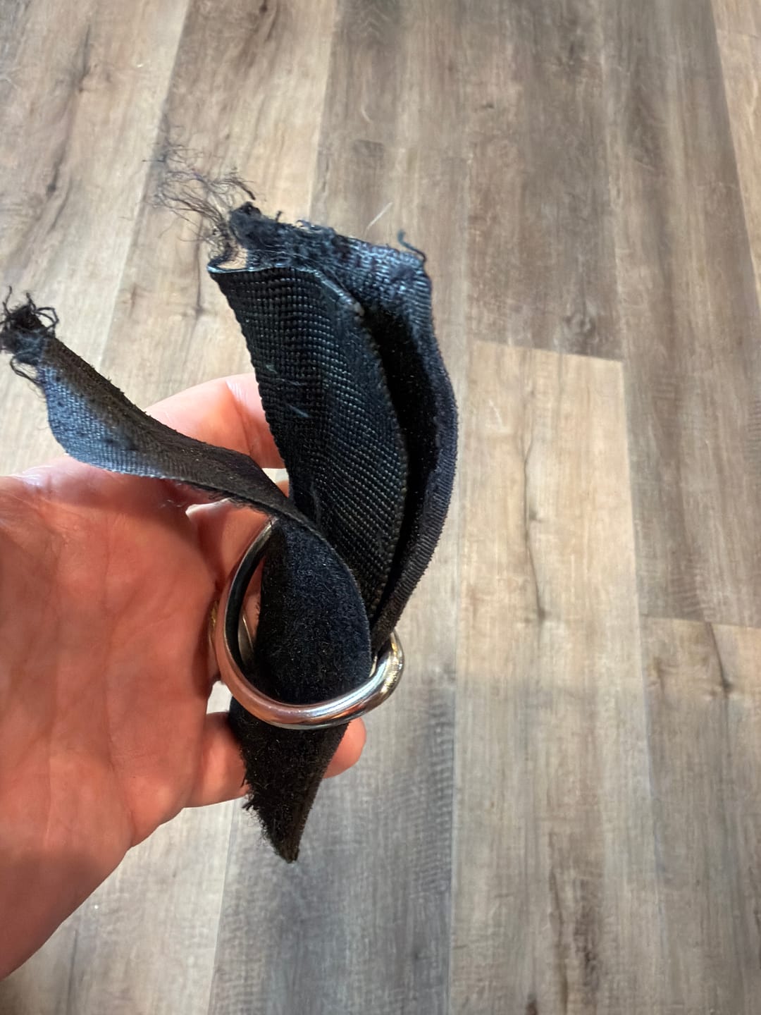Customer photo review of Front D-Ring Attachment