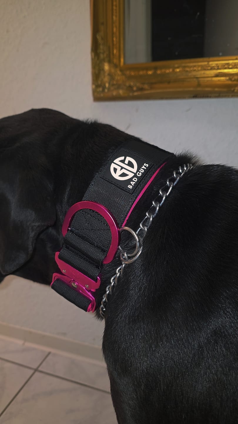 Customer photo review of Collare Crime 5cm